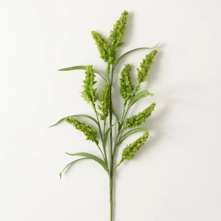 Green Amaranthus Spray