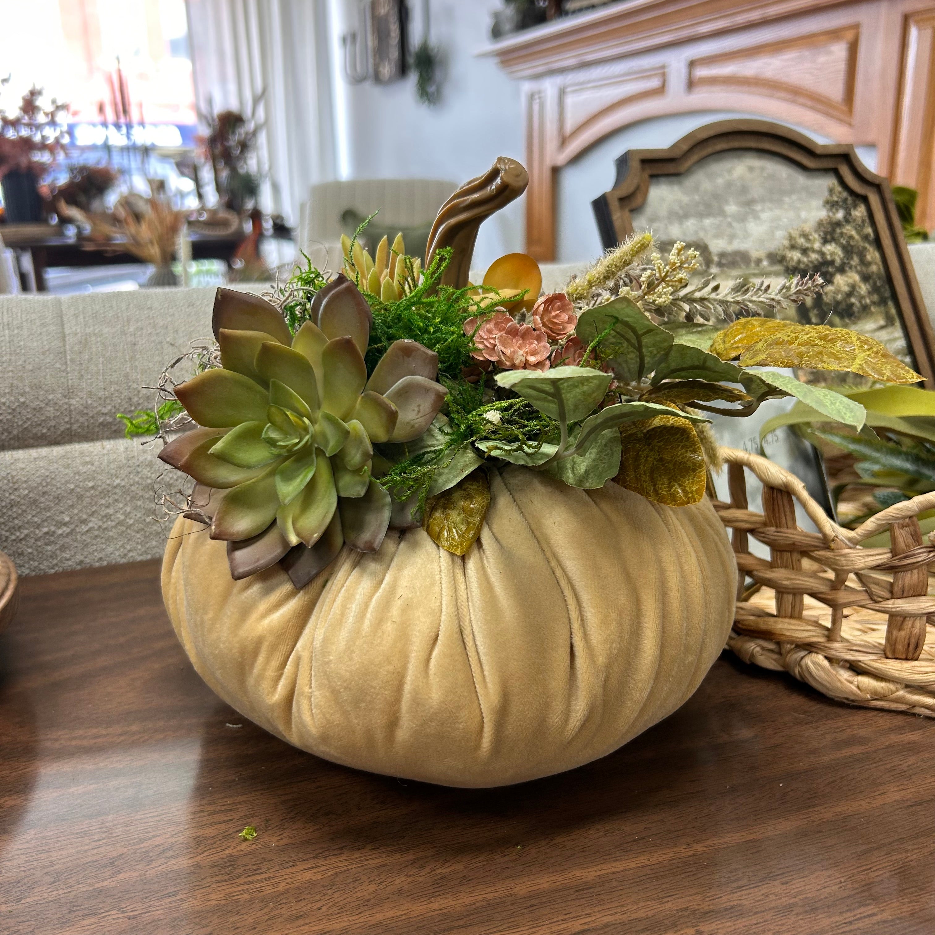 Succulent pumpkins