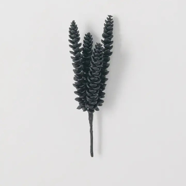 Black Succulent Pick