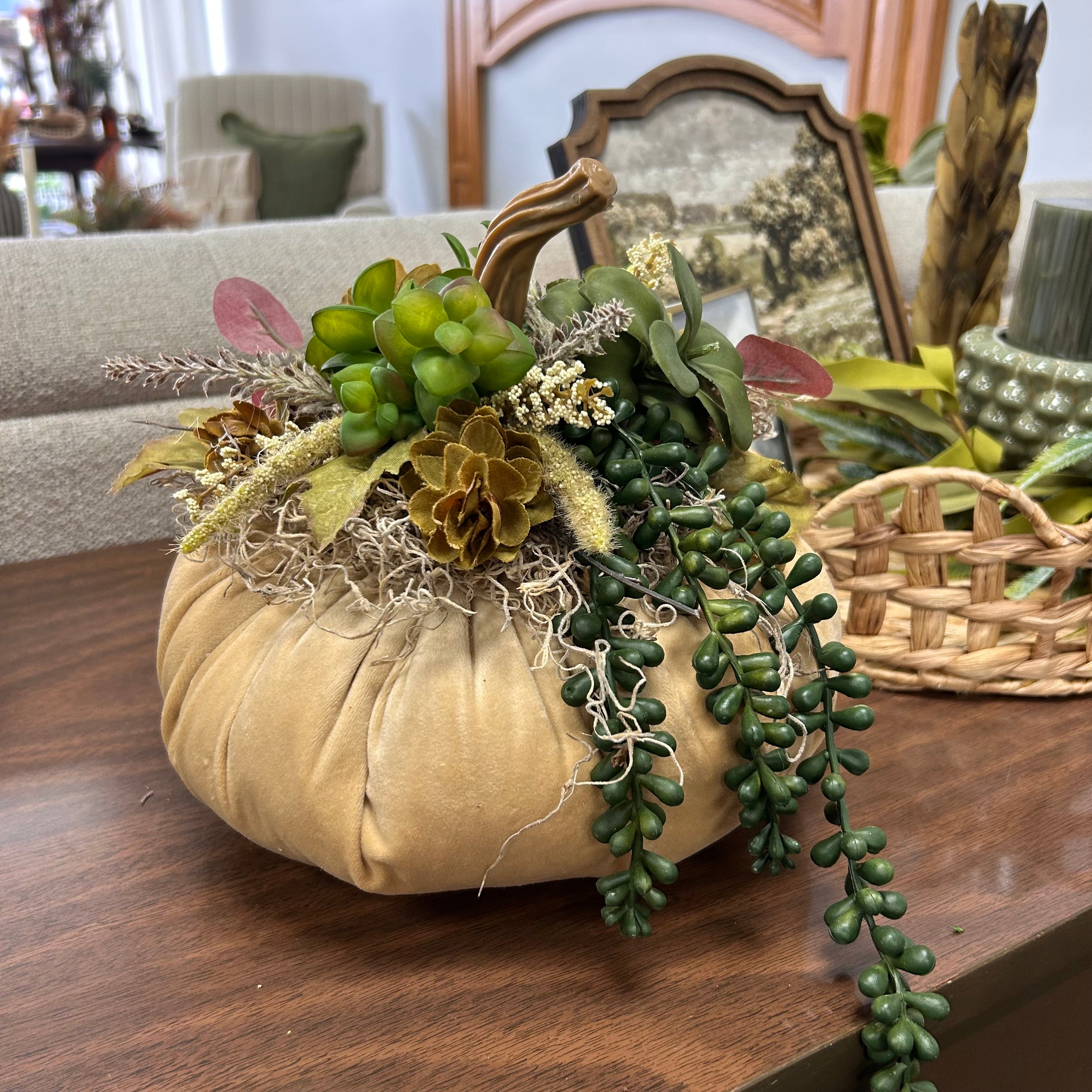 Succulent pumpkins