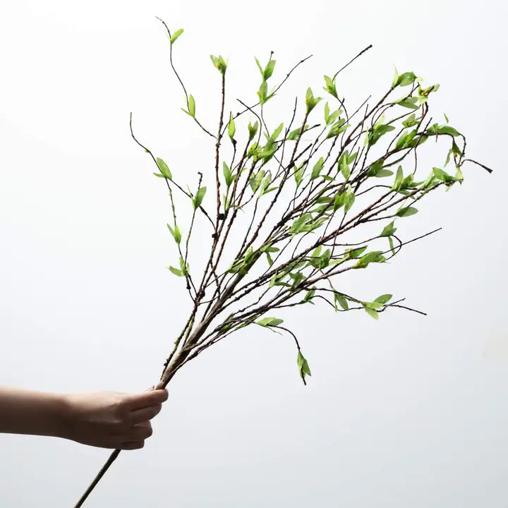 Long Willow Twig Spray