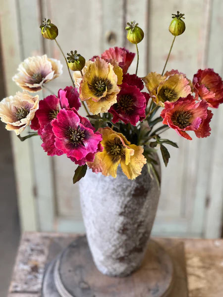 Winning Streak Poppy