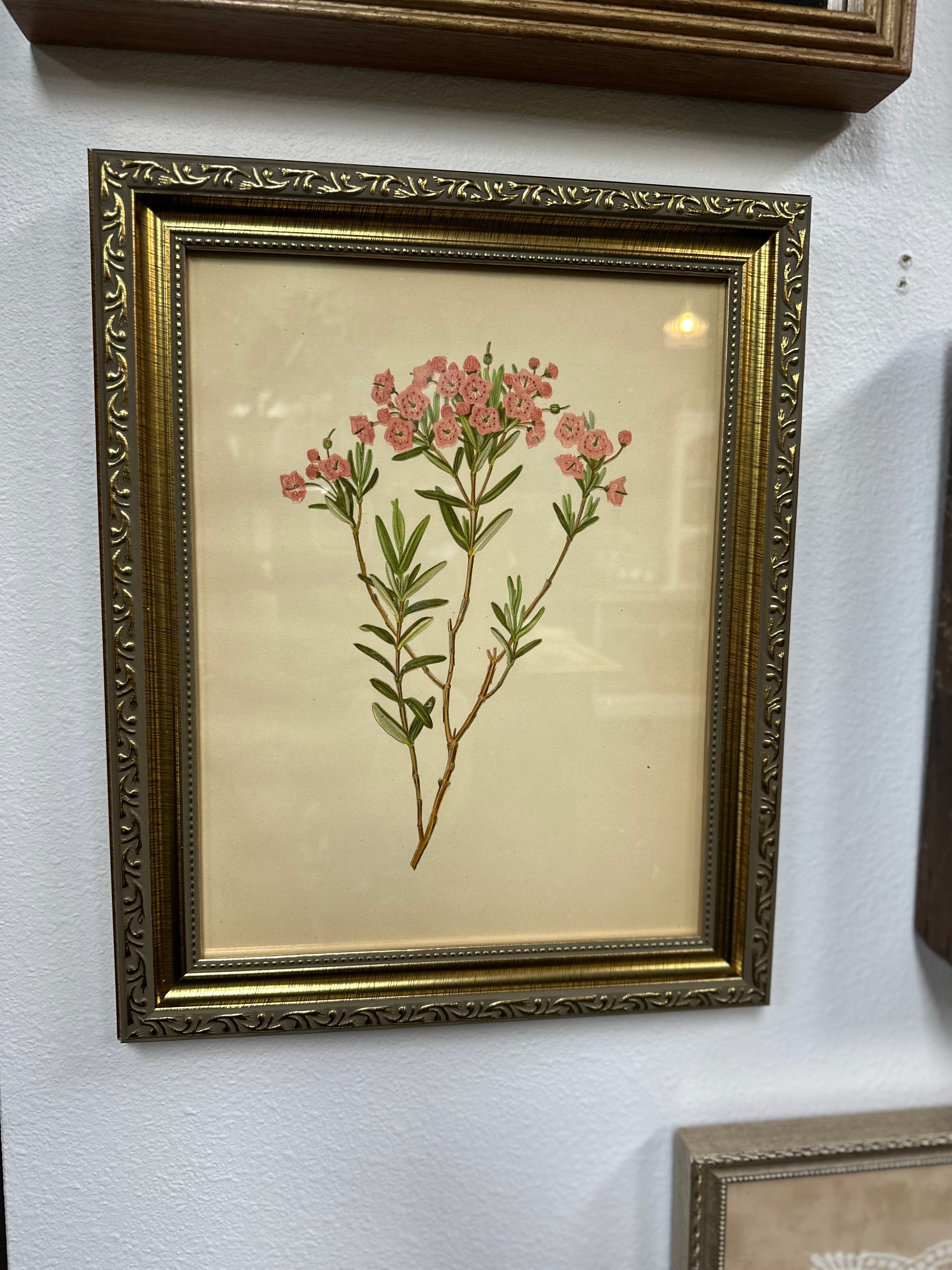 Vintage Art {Framed}
