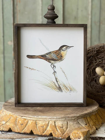 Feathered Friends Art