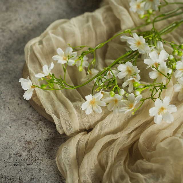 WHITE WINTER DAPHNE SPRAY