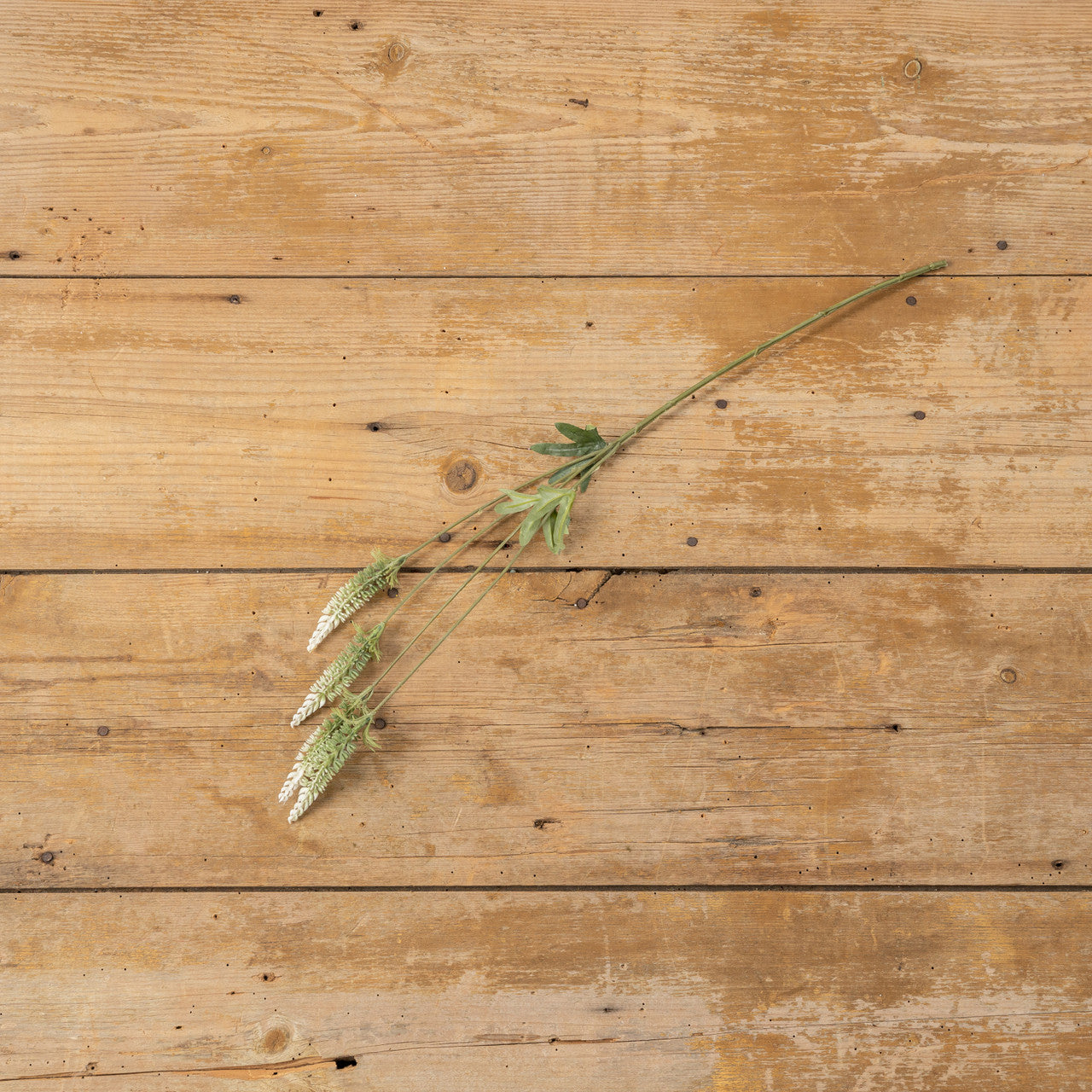 GREEN & WHITE FOXTAIL SPRAY