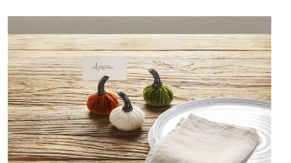 Velvet Pumpkin Place Card