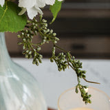 Green Eucalyptus Berry Stem