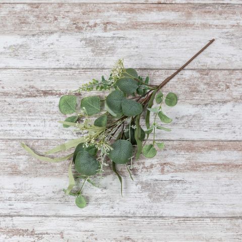 Eucalyptus Seed Pick