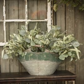 Eucalyptus Seed Pick