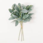 Lamb's Ear Bundle