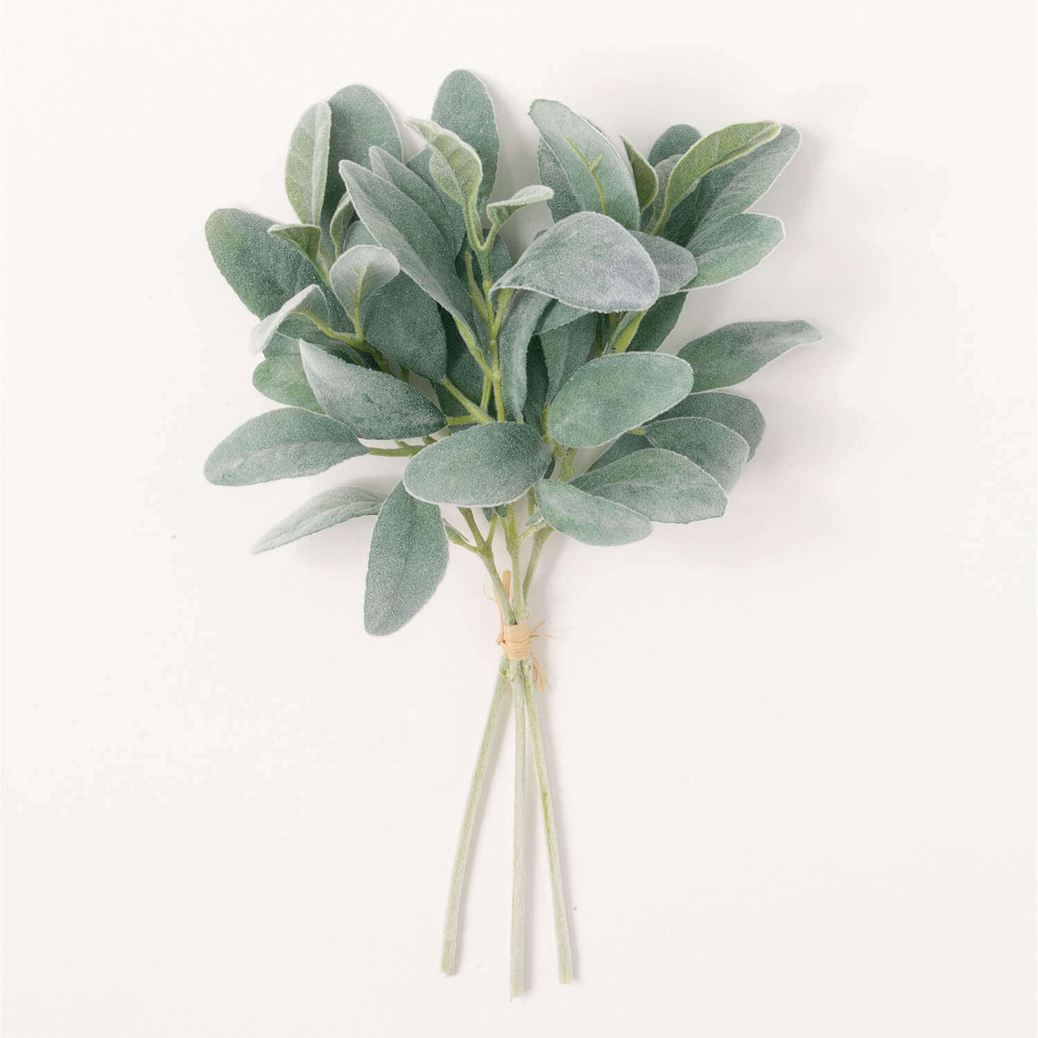 Lamb's Ear Bundle