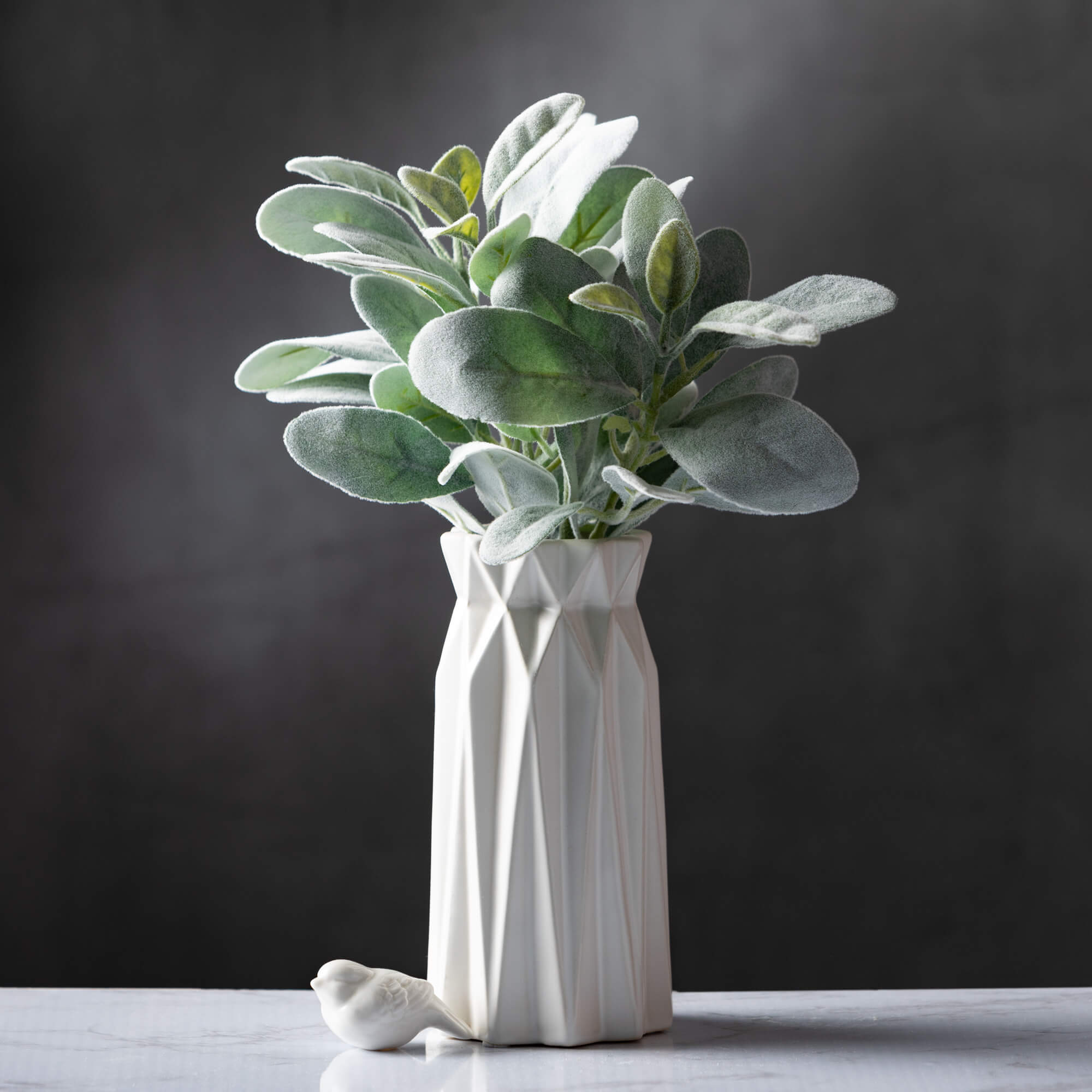 Lamb's Ear Bundle