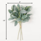 Lamb's Ear Bundle