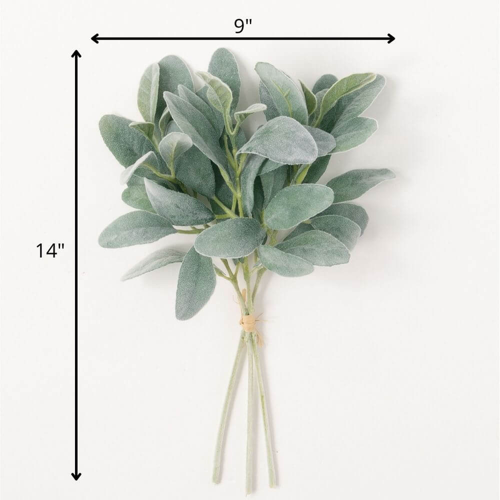 Lamb's Ear Bundle