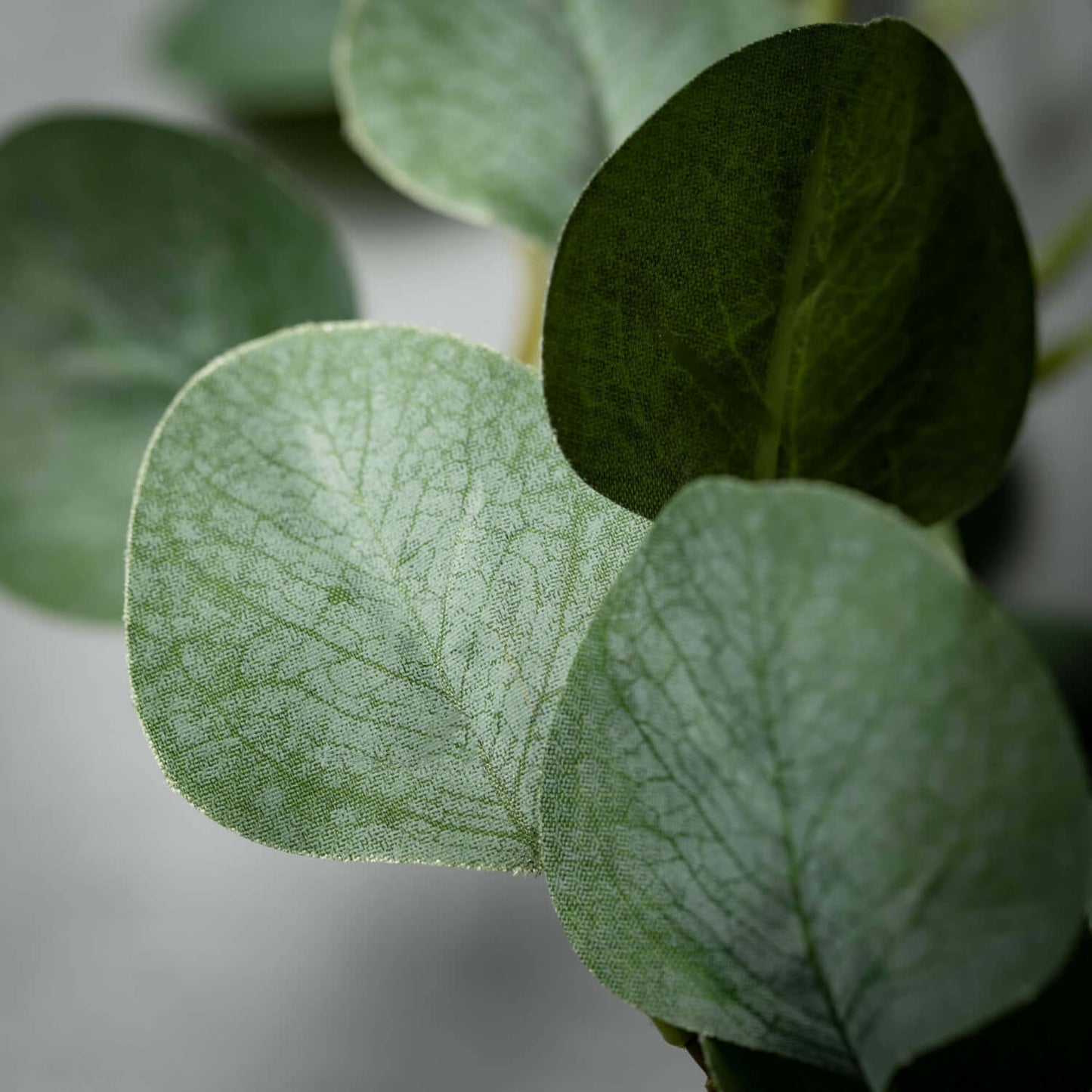 Eucalyptus Garland