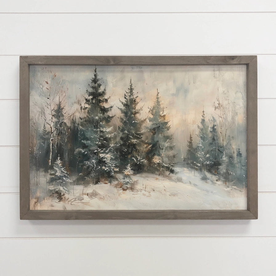 Snow Covered Pine Forest - Winter Scene