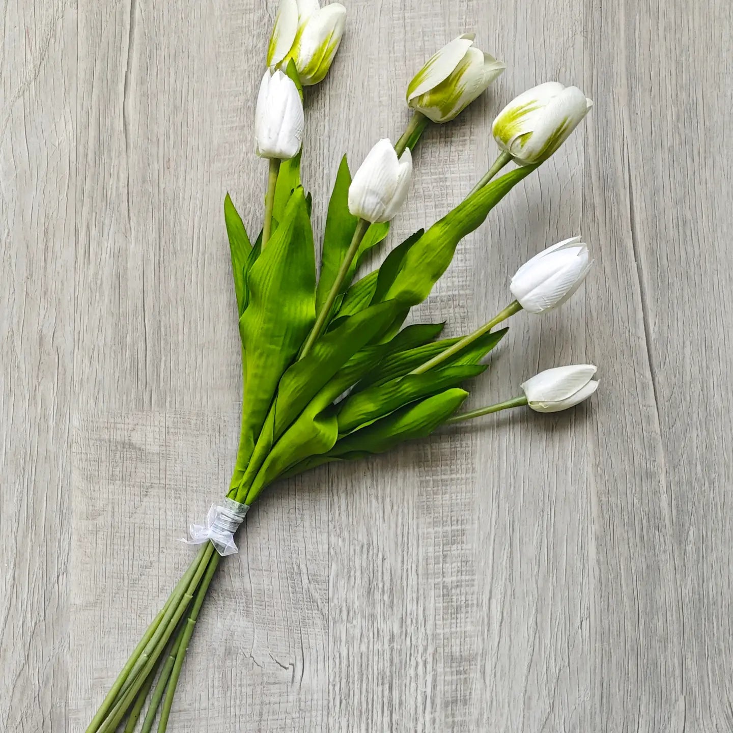 Tulip Bundle