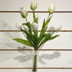 Tulip Bundle