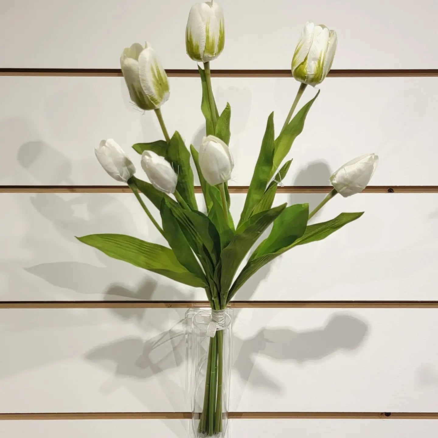 Tulip Bundle