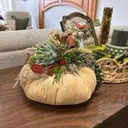 Succulent pumpkins