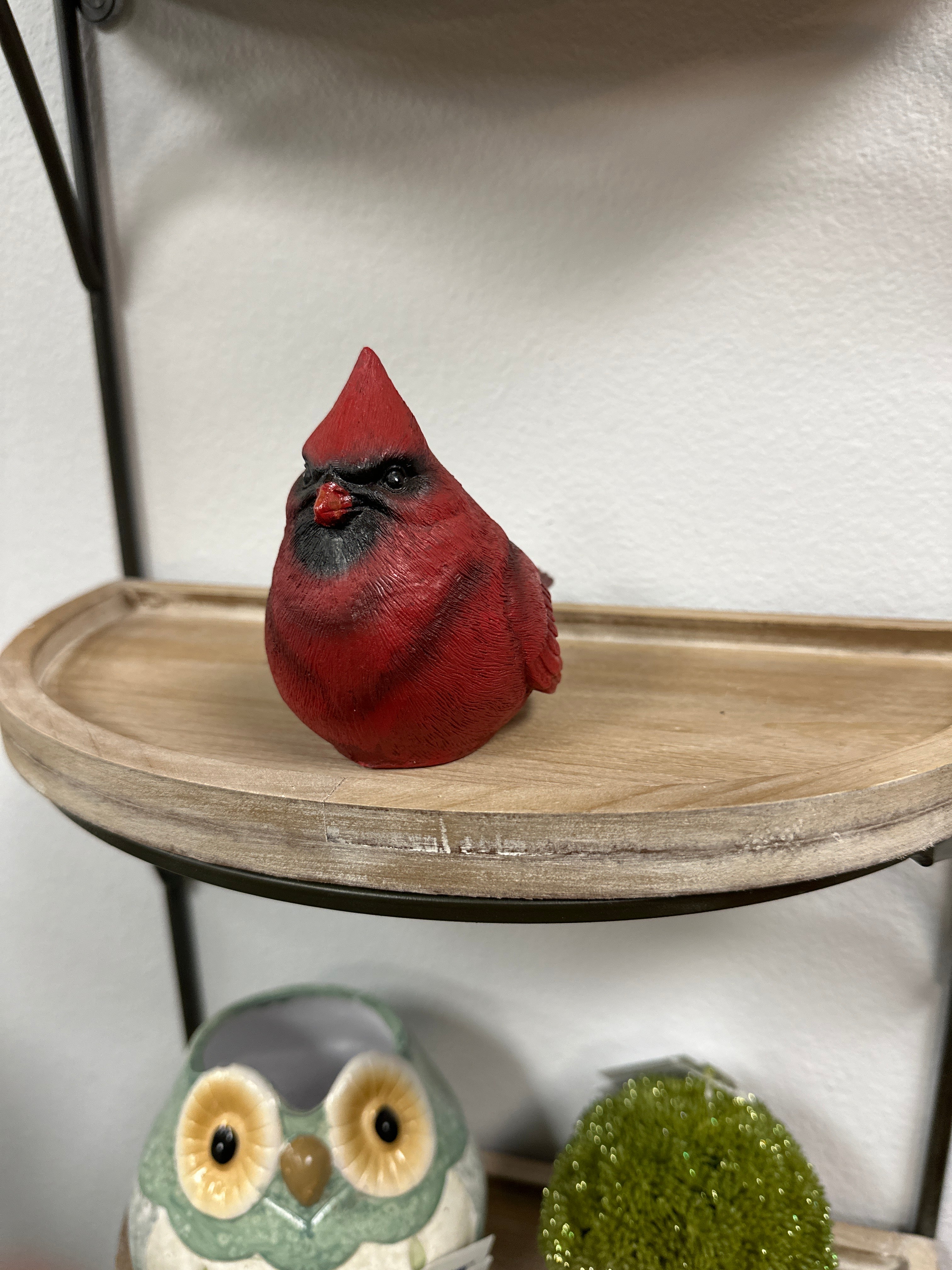 Red Cardinal