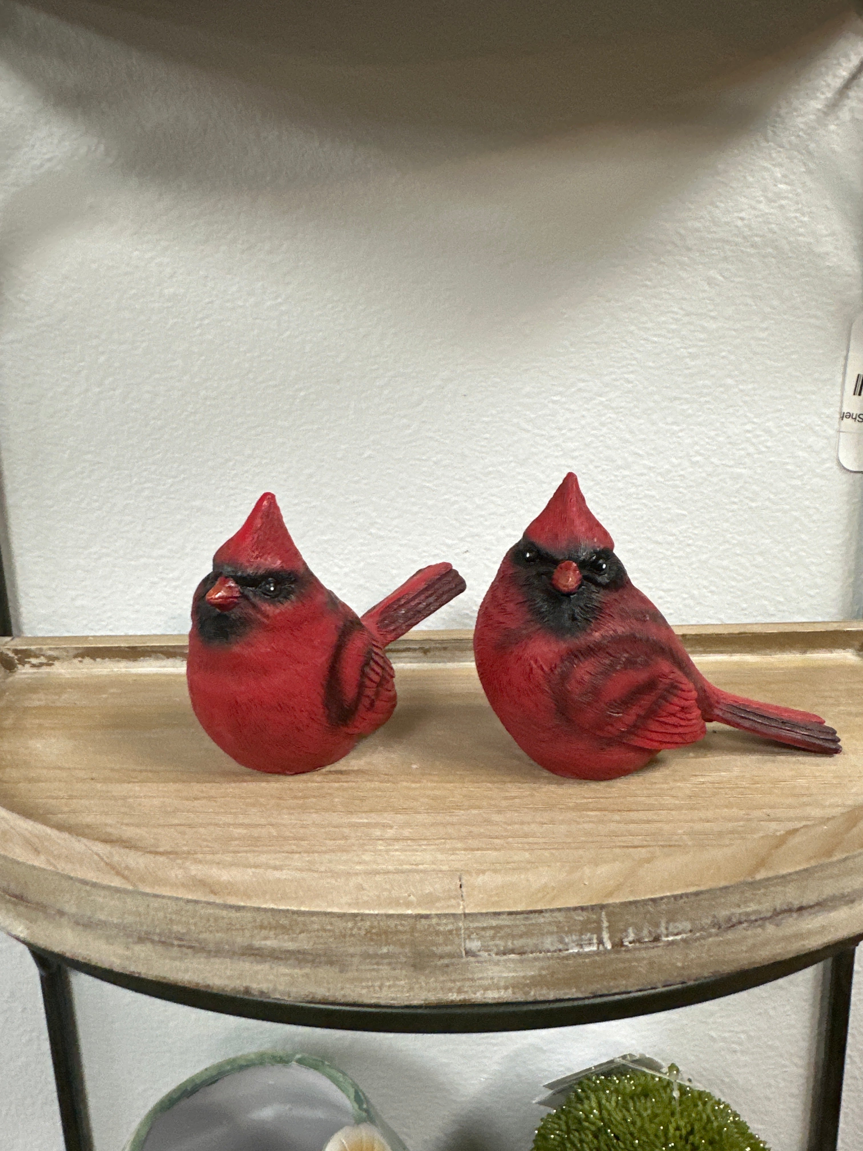 Red Cardinal