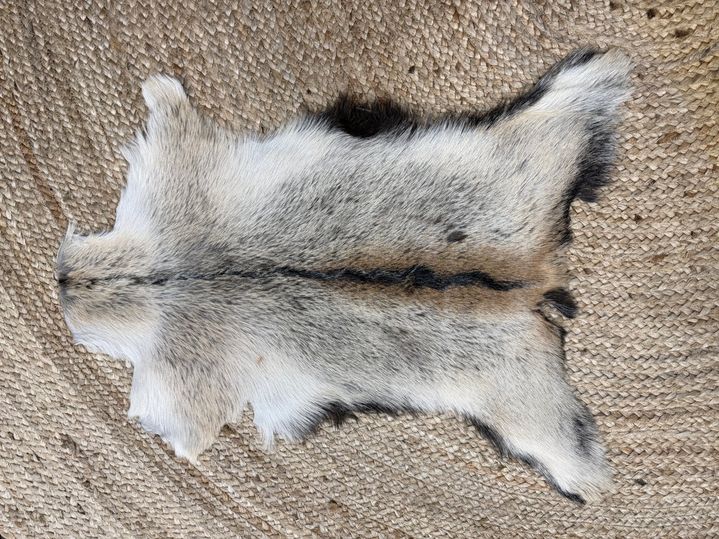 Goat Hides