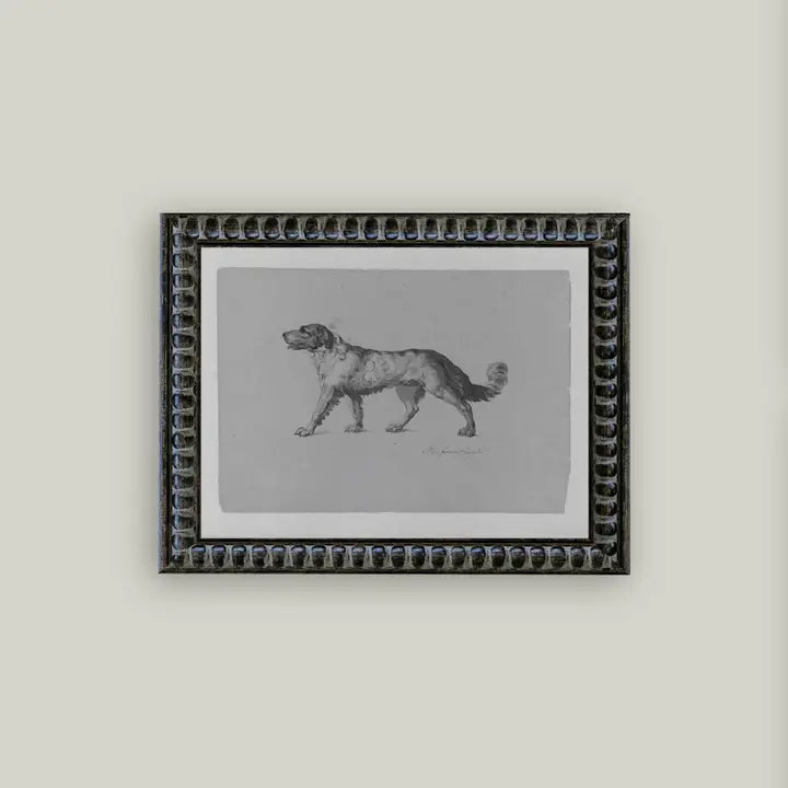 Newfoundland Dog Framed Antique Art