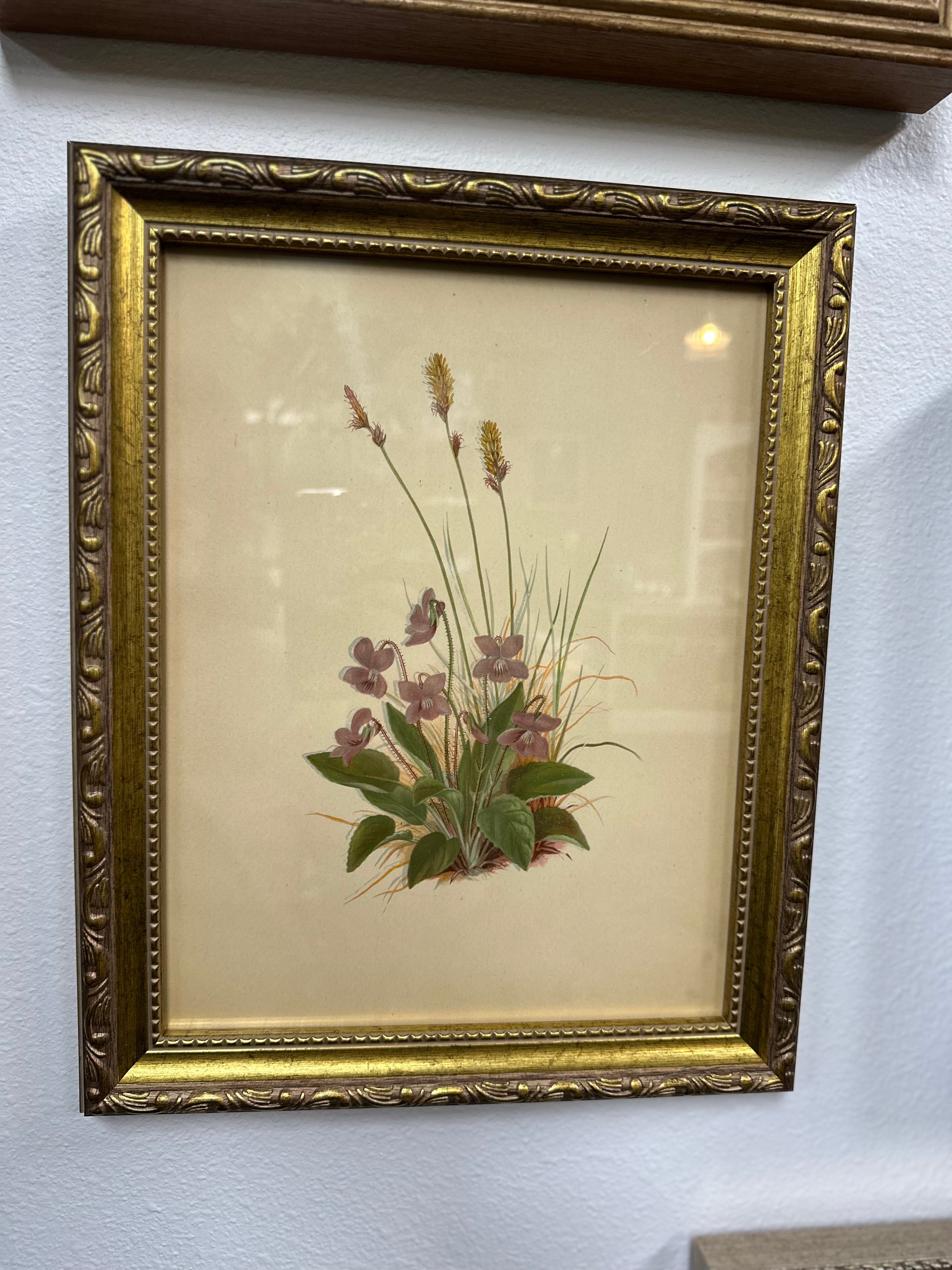 Vintage Art {Framed}