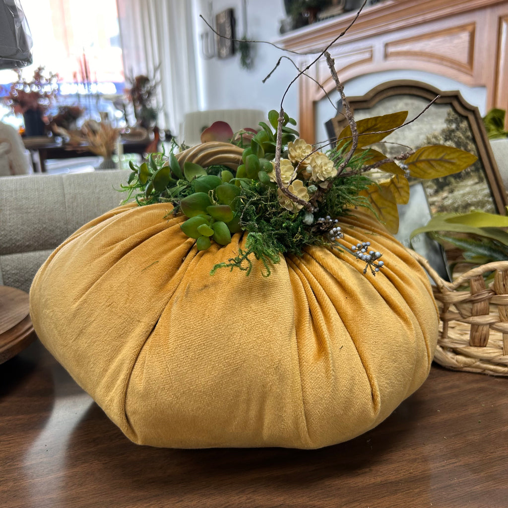 Succulent pumpkins
