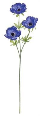 ANEMONE
