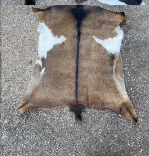 Goat Hide