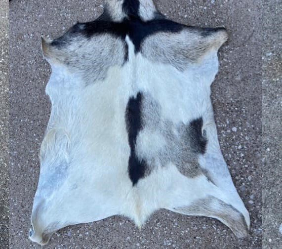 Goat Hide