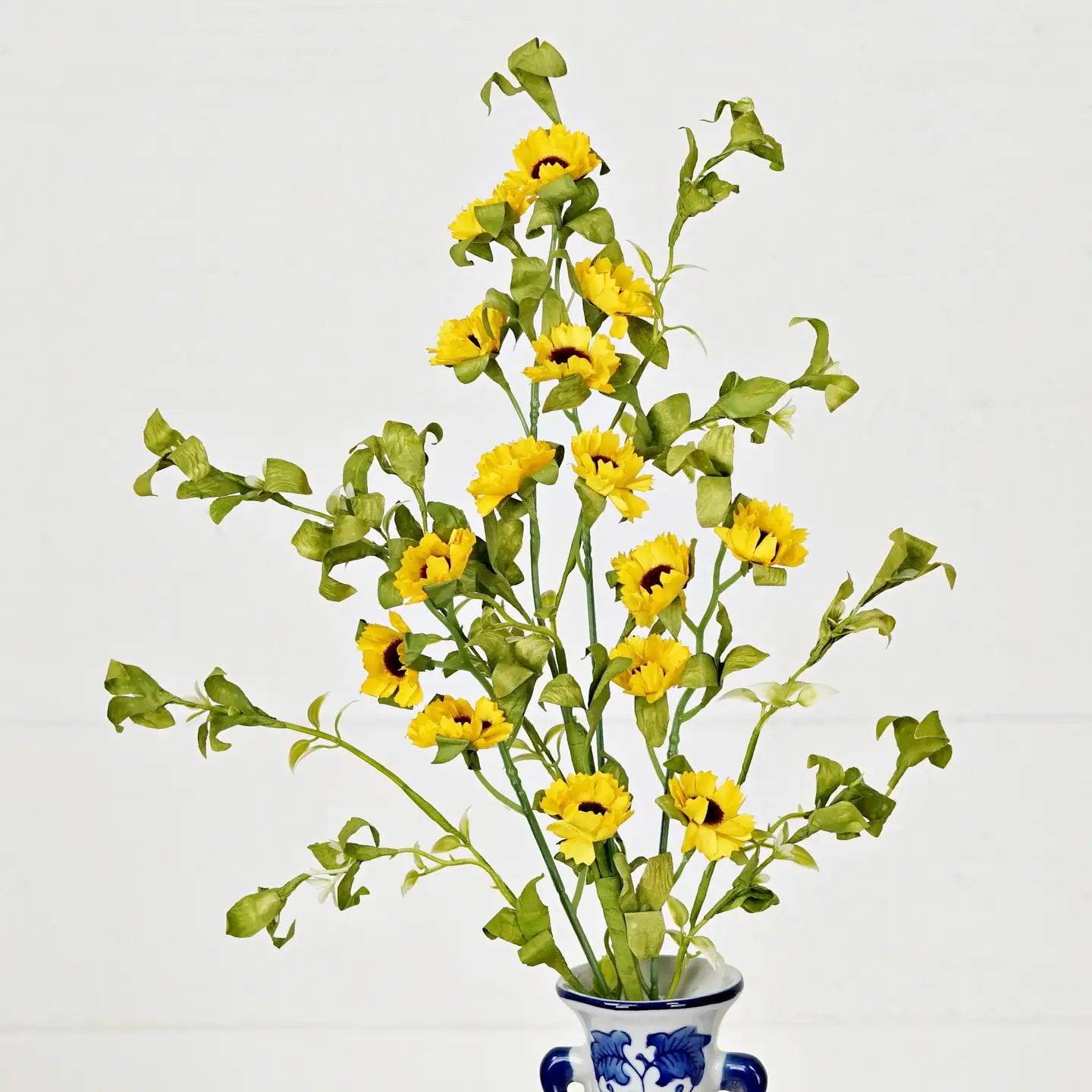 Black Eyes Susan Blossoms