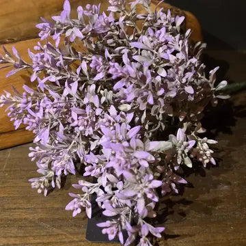 Liliac Breeze Stem