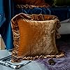 Velvet Throw Pillow