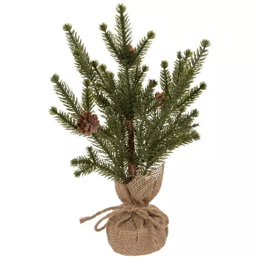 Spruce Tree with Pinecones