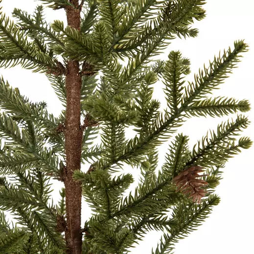 Spruce Tree with Pinecones