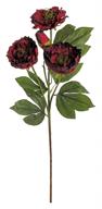 Open Peony Dark Red