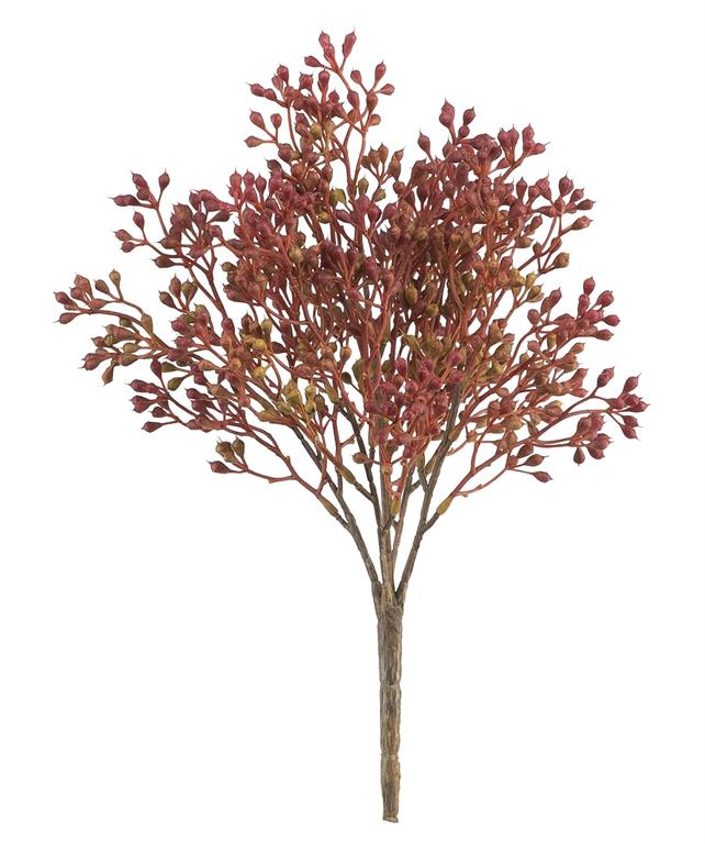 Seed Bush