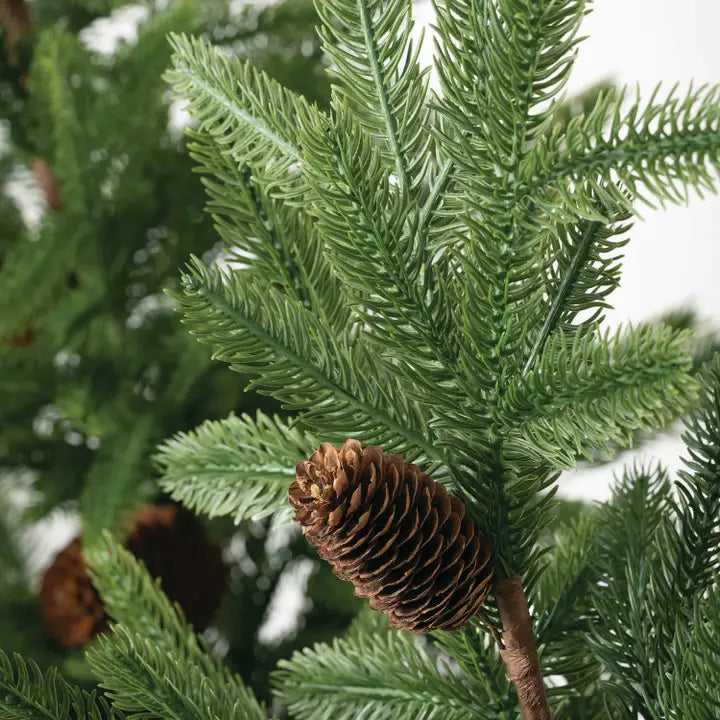 Pinecone Pine Tree