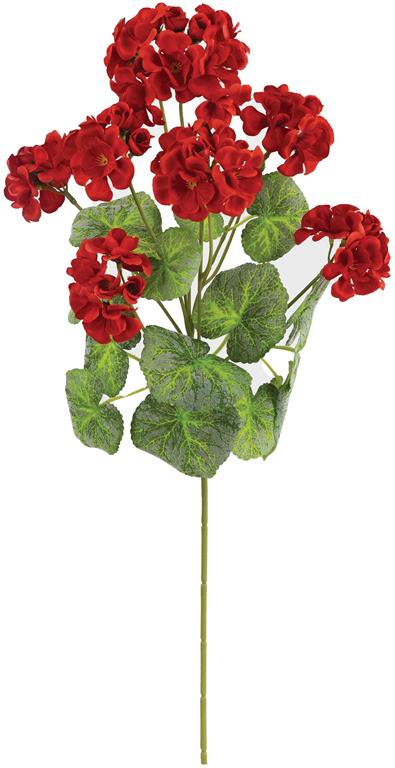 Geranium Spray