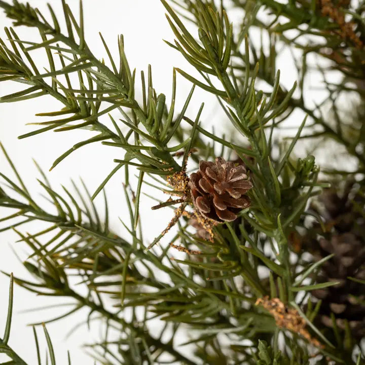 Potted Cedar Pinecone Tree