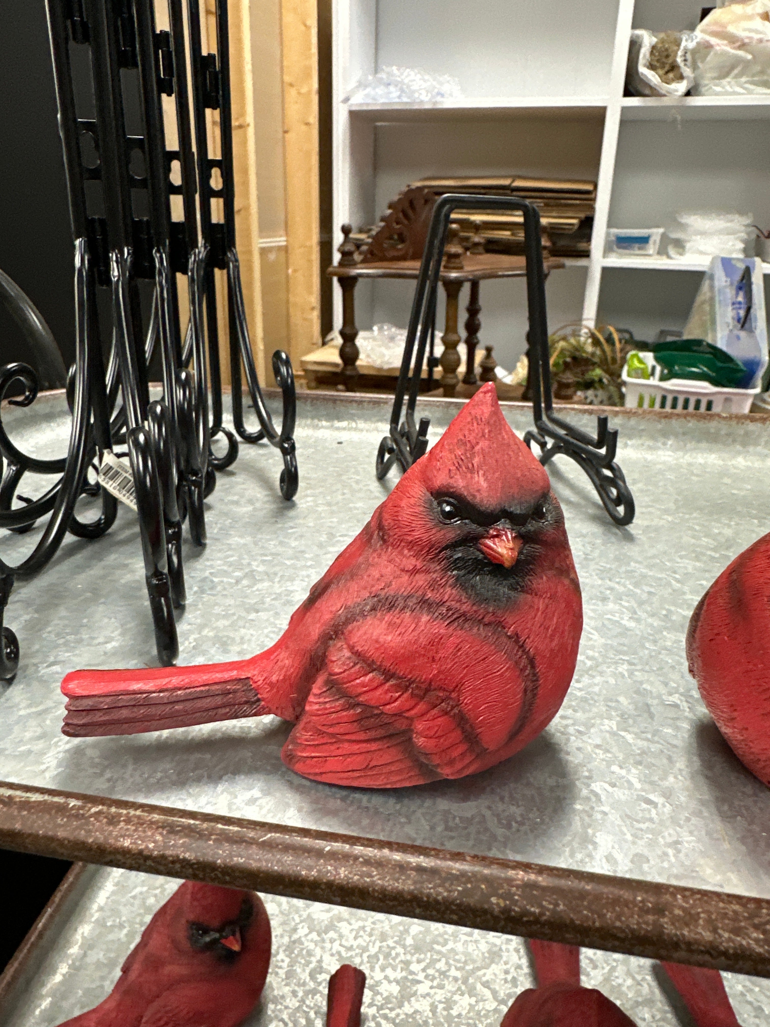Red Cardinal