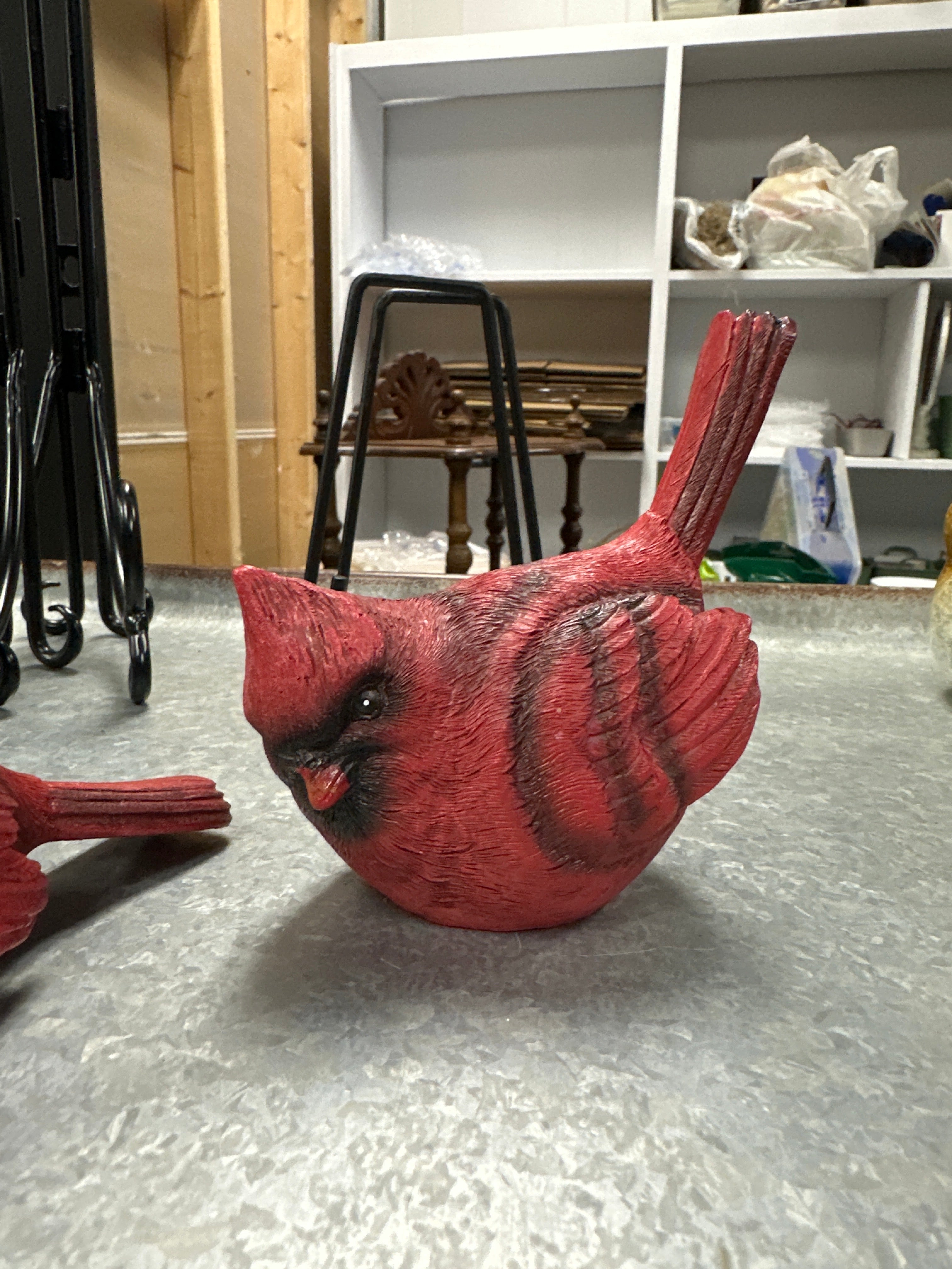 Red Cardinal
