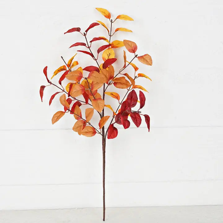Fall Ficus Leaves