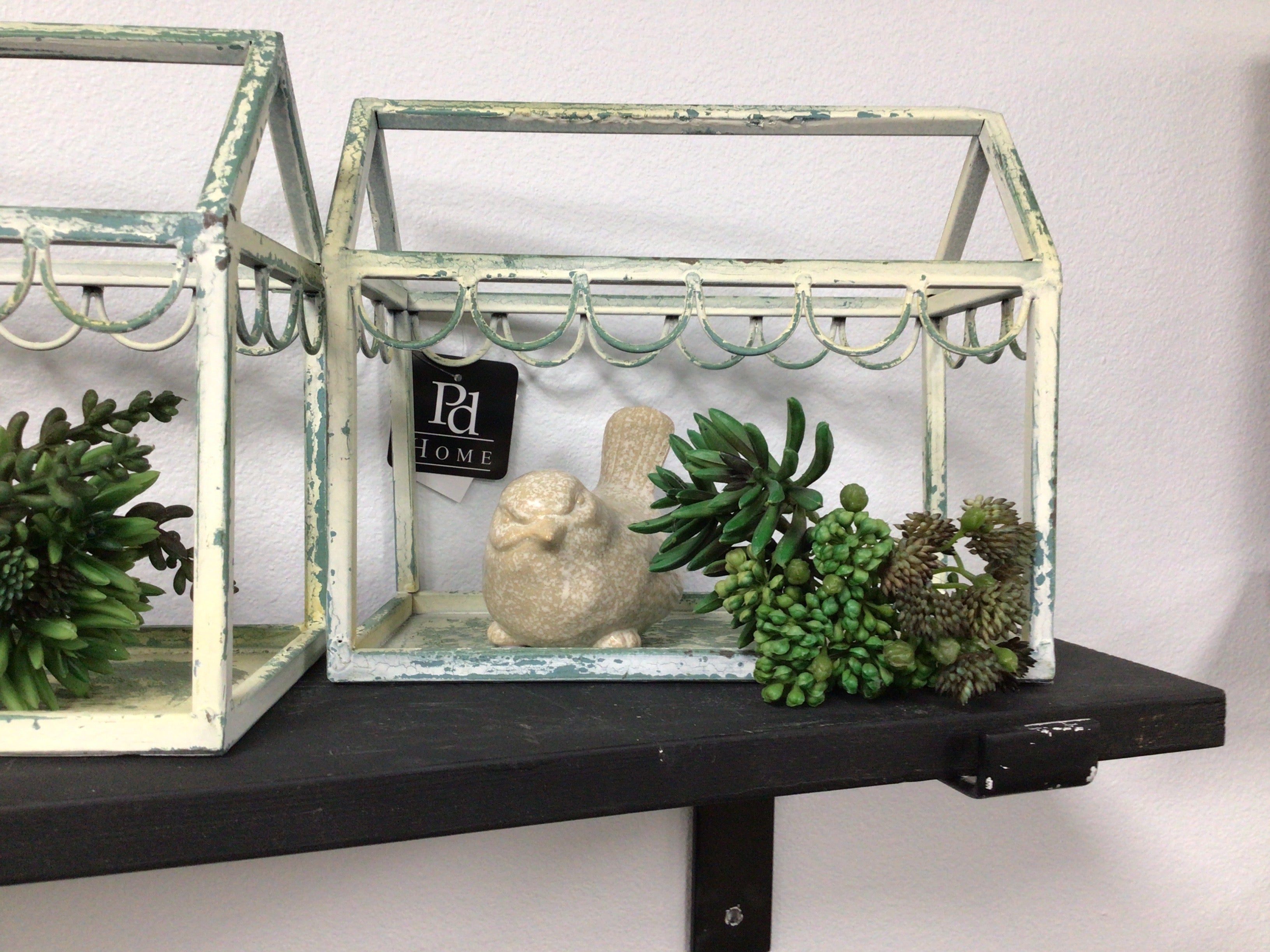 Small Suculent Bundle