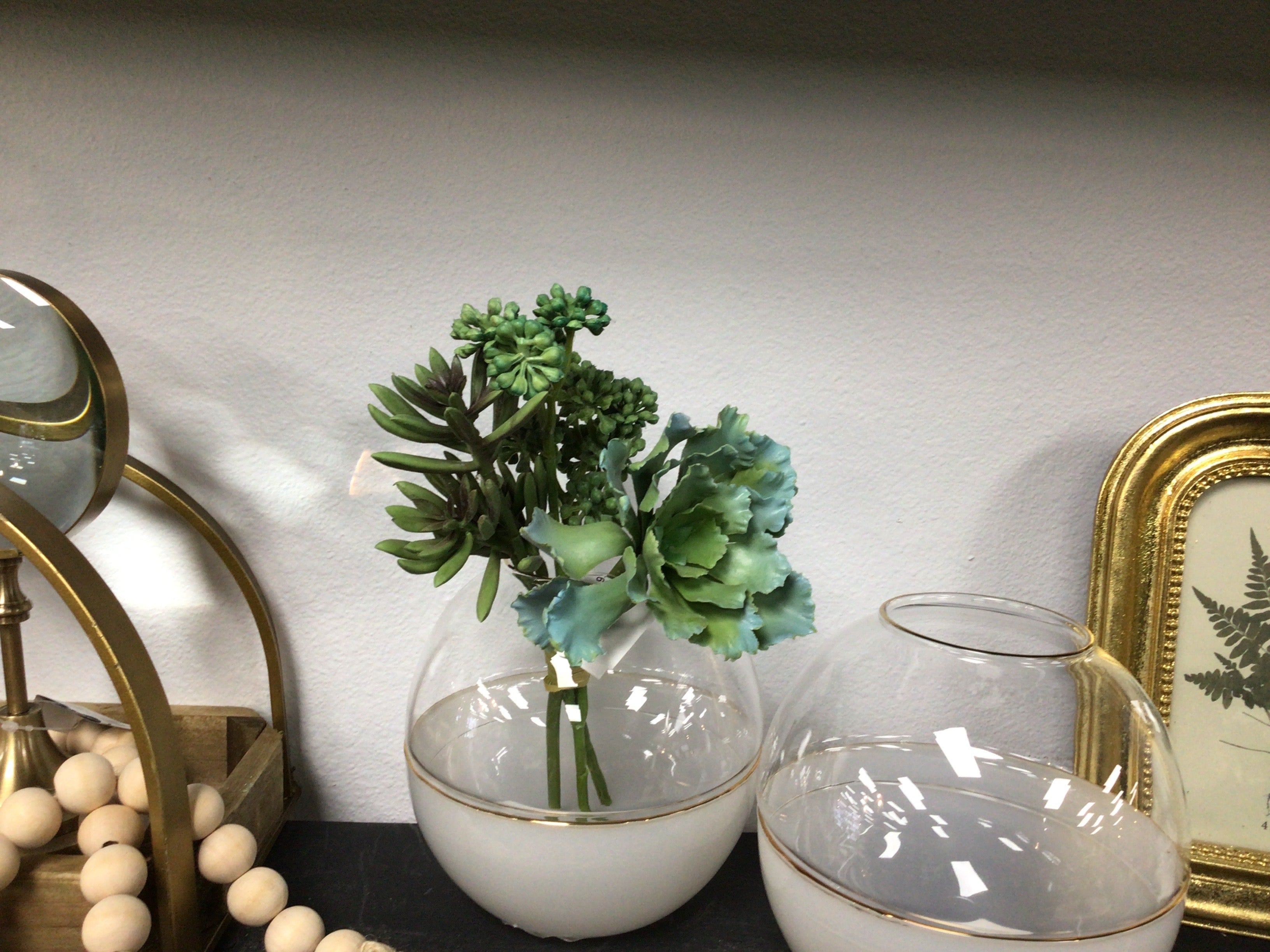 9.5" Suculent Bundle