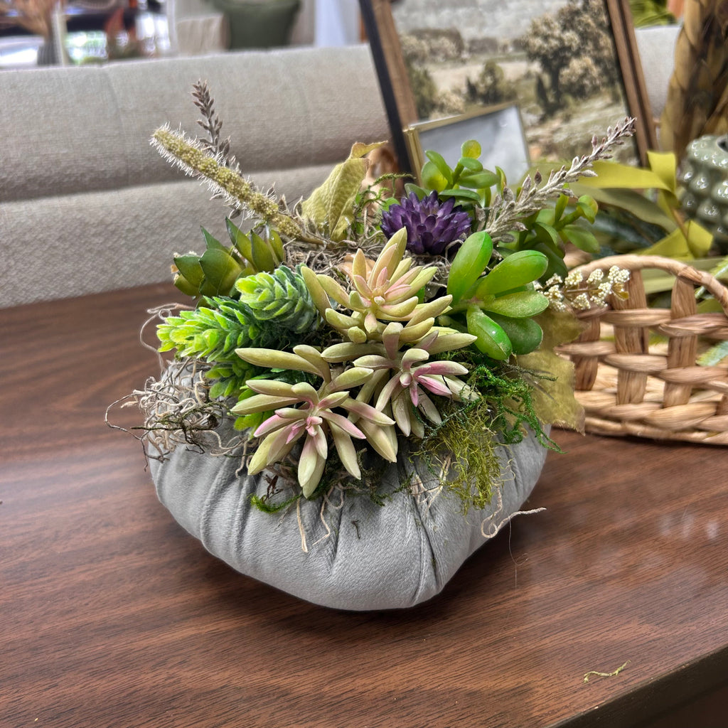 Succulent pumpkins